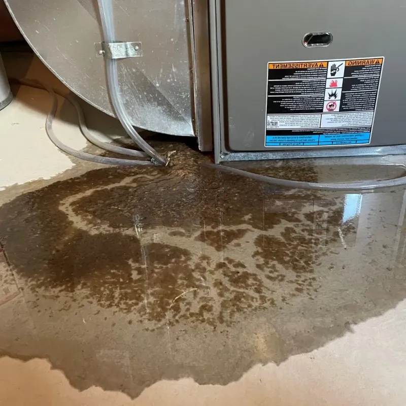 Pipe Burst and Leak Restoration in Gallup, NM