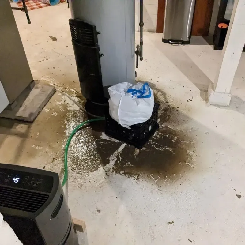 Sewage Backup Cleanup Service in Gallup, NM